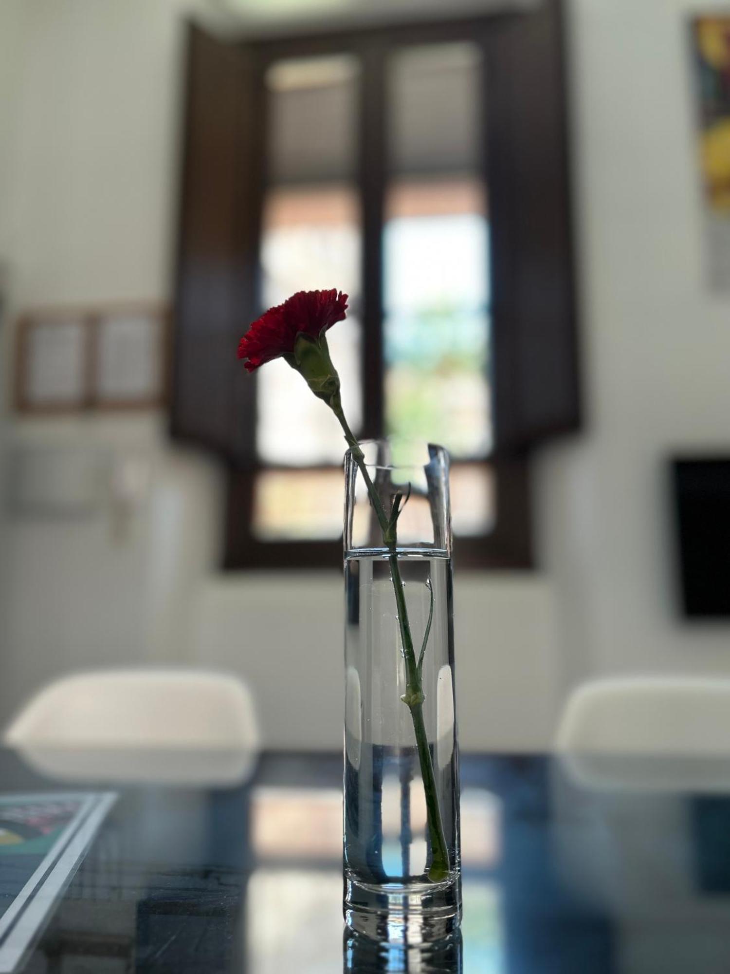 Romanilla Loft Granada Kültér fotó